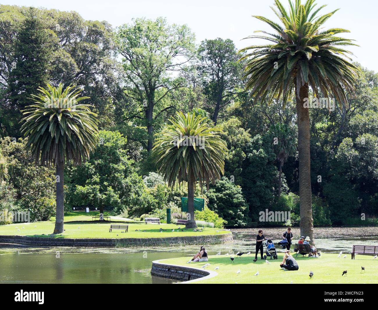 Vue des gens profitant des espaces verts des jardins botaniques royaux à Melbourne, Victoria, Australie par une journée ensoleillée de printemps en novembre. Banque D'Images