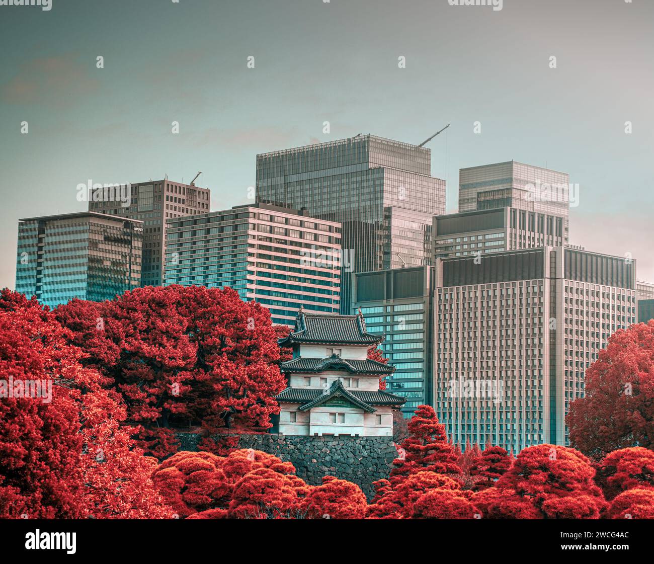 Palais impérial de Tokyo entouré d'arbres d'automne avec bâtiment moderne dans les arrière-plans Banque D'Images