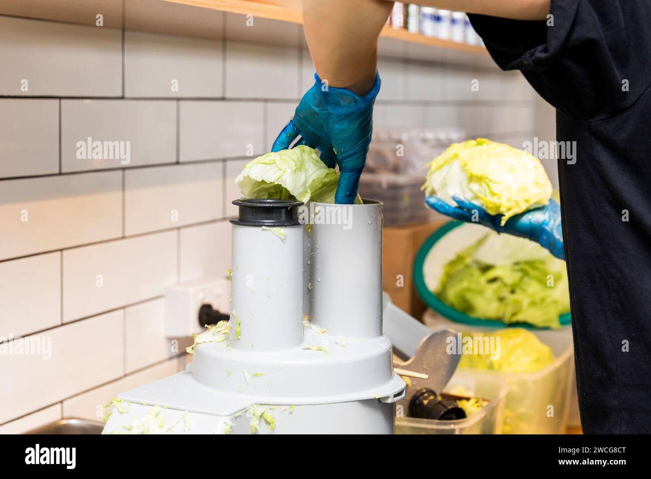 Mains mettre la laitue dans un déchiqueteur dans le cadre du processus de préparation des aliments. Banque D'Images