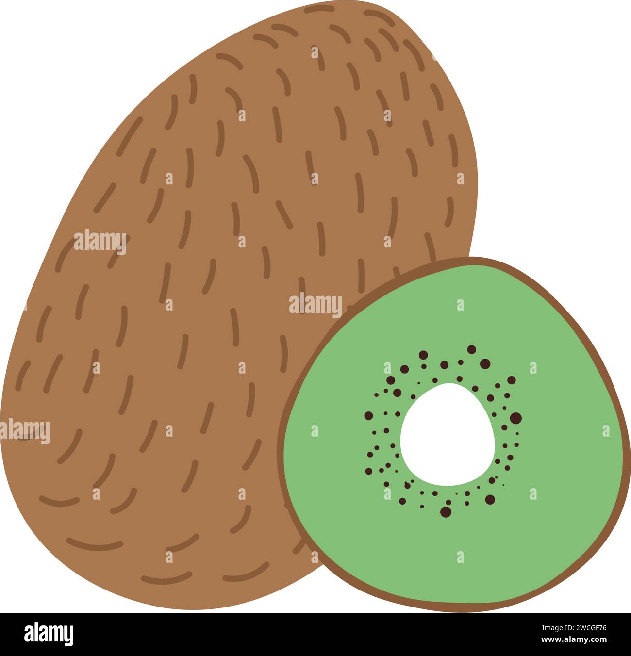 Kiwi, fruits exotiques tropicaux, tranches entières coupées Illustration de Vecteur