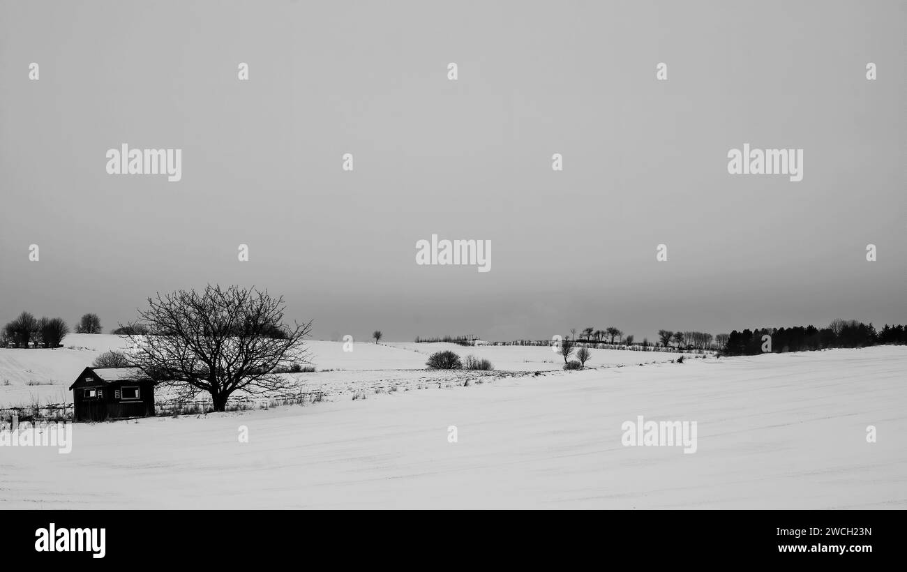 Plan noir et blanc d'une petite cabane dans la neige. Panorama Banque D'Images