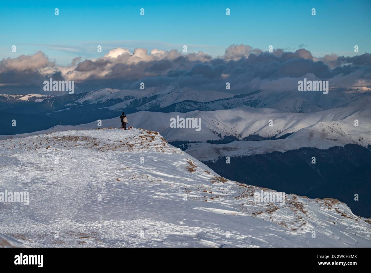 Vue captivante sur les montagnes des Carpates, Roumanie. Banque D'Images