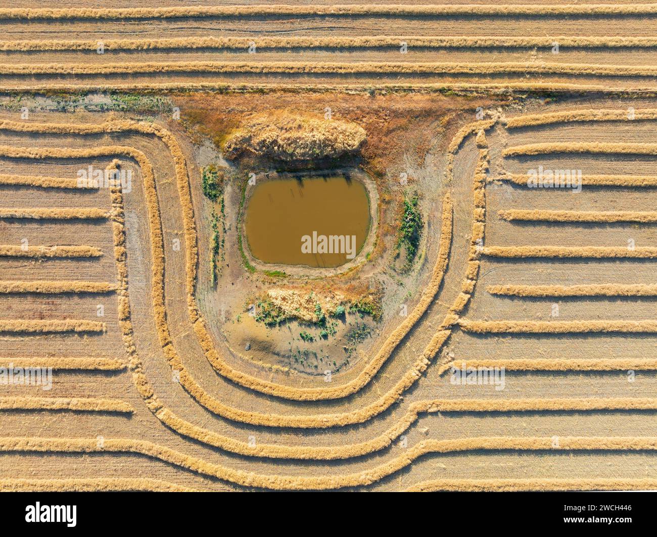 Vue aérienne d'un barrage agricole avec des lignes de récolte autour de lui à Moolort dans le Victoria central, Australie. Banque D'Images