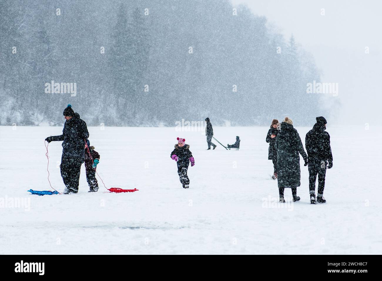 Les gens marchent et les enfants jouent avec des toboggans sur un lac gelé en hiver avec la forêt et les pêcheurs avec des tentes pêchant sur la glace sur le fond Banque D'Images