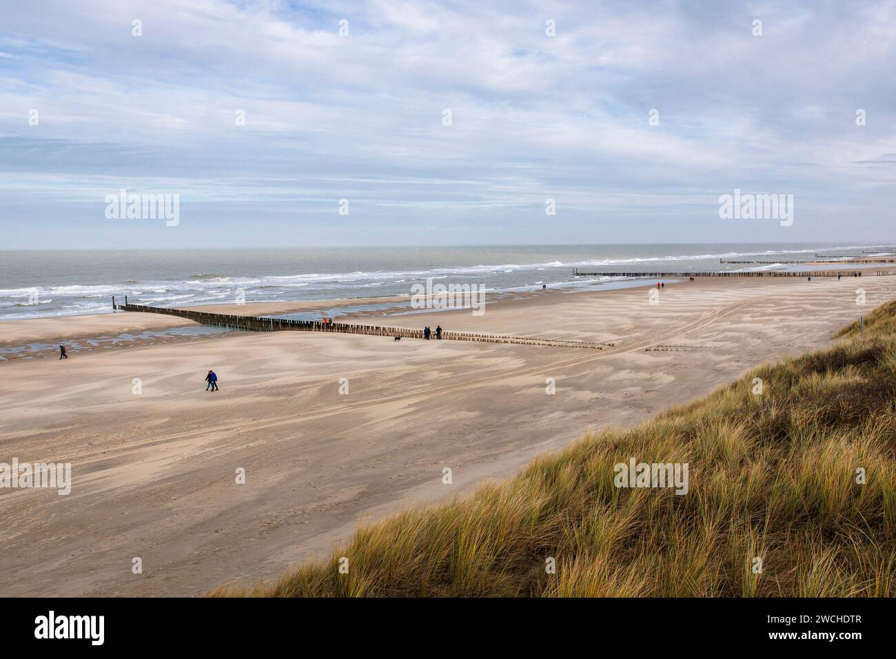 Aine à la plage de Domburg sur la presqu'île de Walcheren, Zélande, Pays-Bas. Buhne am Strand von Domburg Walcheren auf, Zélande, Pays-Bas. Banque D'Images