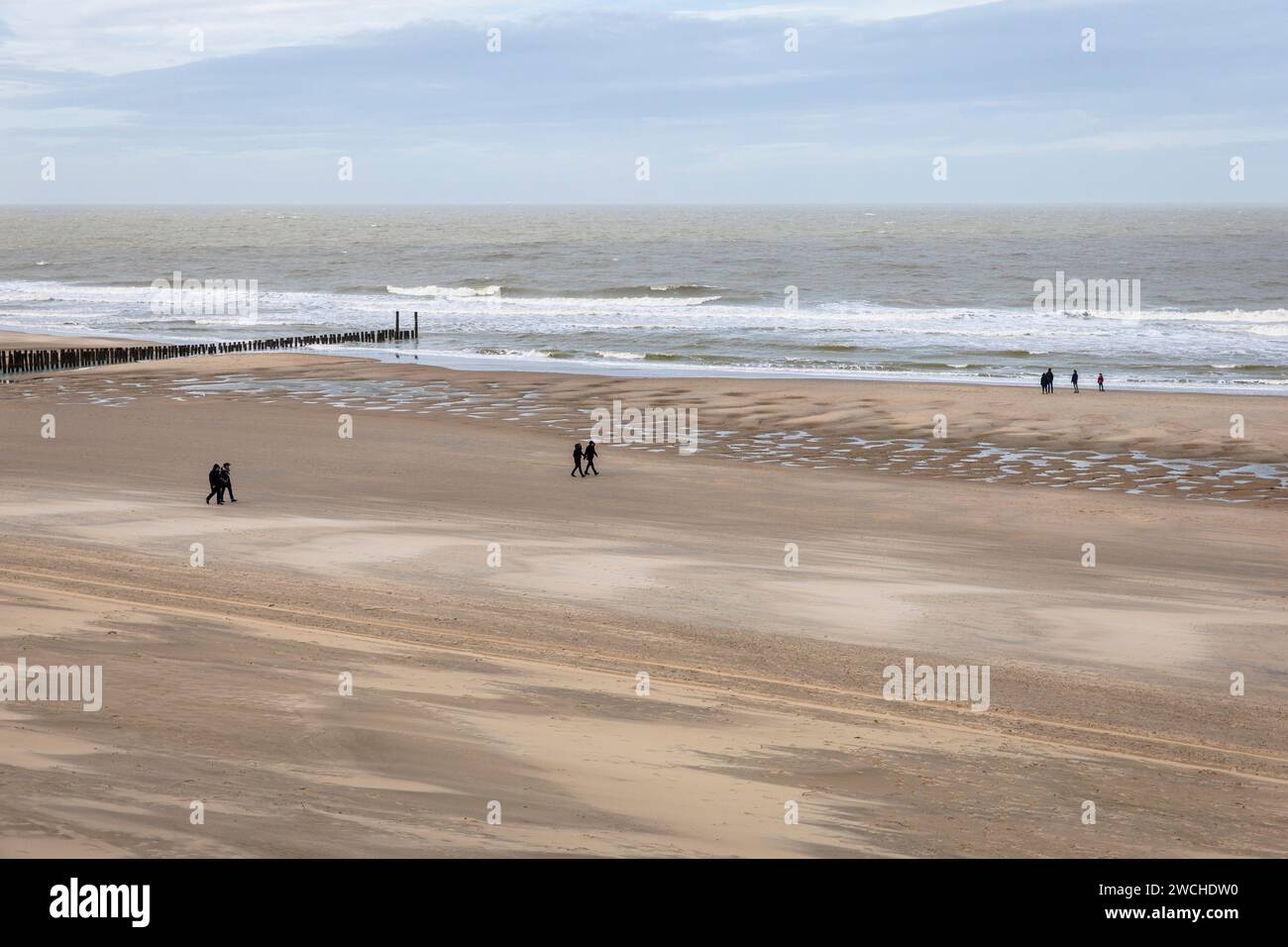 Aine à la plage de Domburg sur la presqu'île de Walcheren, Zélande, Pays-Bas. Buhne am Strand von Domburg Walcheren auf, Zélande, Pays-Bas. Banque D'Images