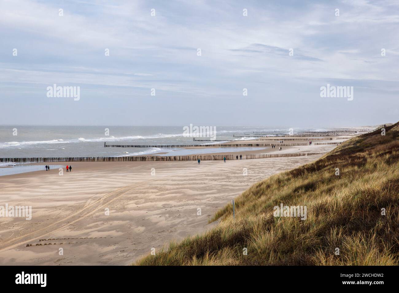 Aine à la plage de Domburg sur la presqu'île de Walcheren, Zélande, Pays-Bas. Buhne am Strand von Domburg Walcheren auf, Zélande, Pays-Bas. Banque D'Images