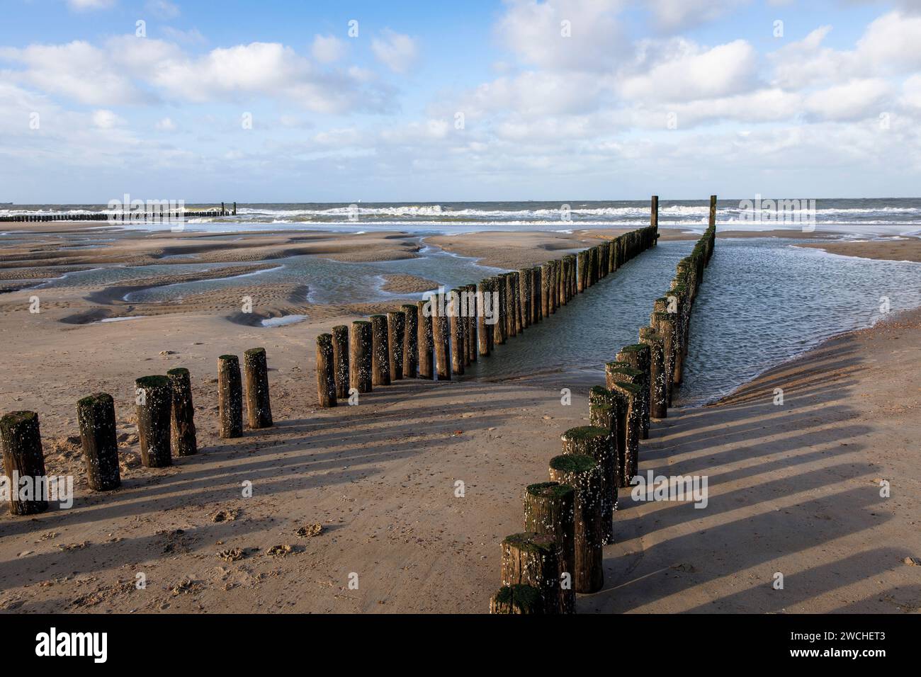 Goyne sur la plage de Domburg sur Walcheren, Zélande, pays-Bas. Buhne am Strand von Domburg auf Walcheren, Zeeland, Niederlande. Banque D'Images