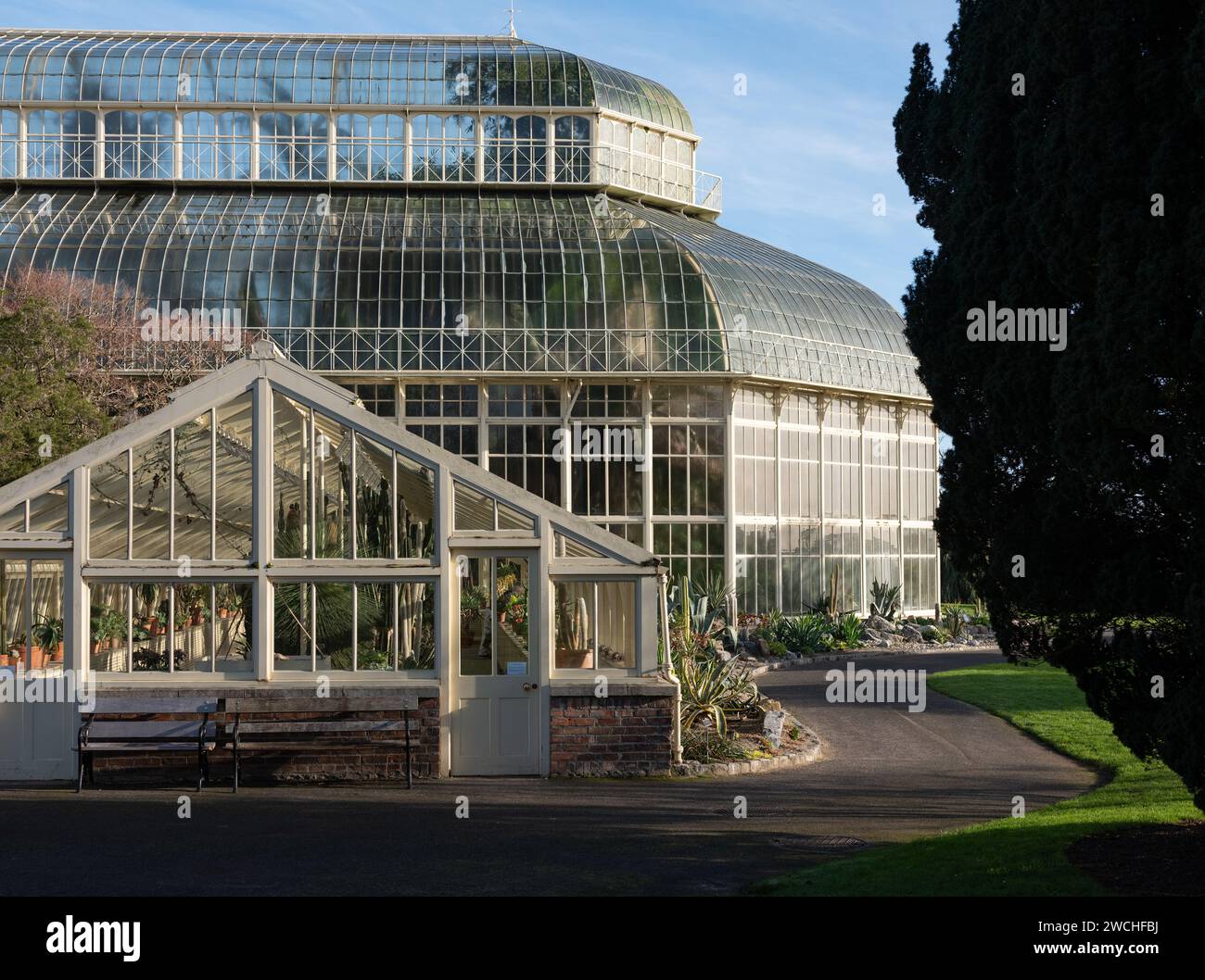 The Great Palm House aux Jardins botaniques nationaux d'Irlande, à Glasnevin, ville de Dublin. Banque D'Images