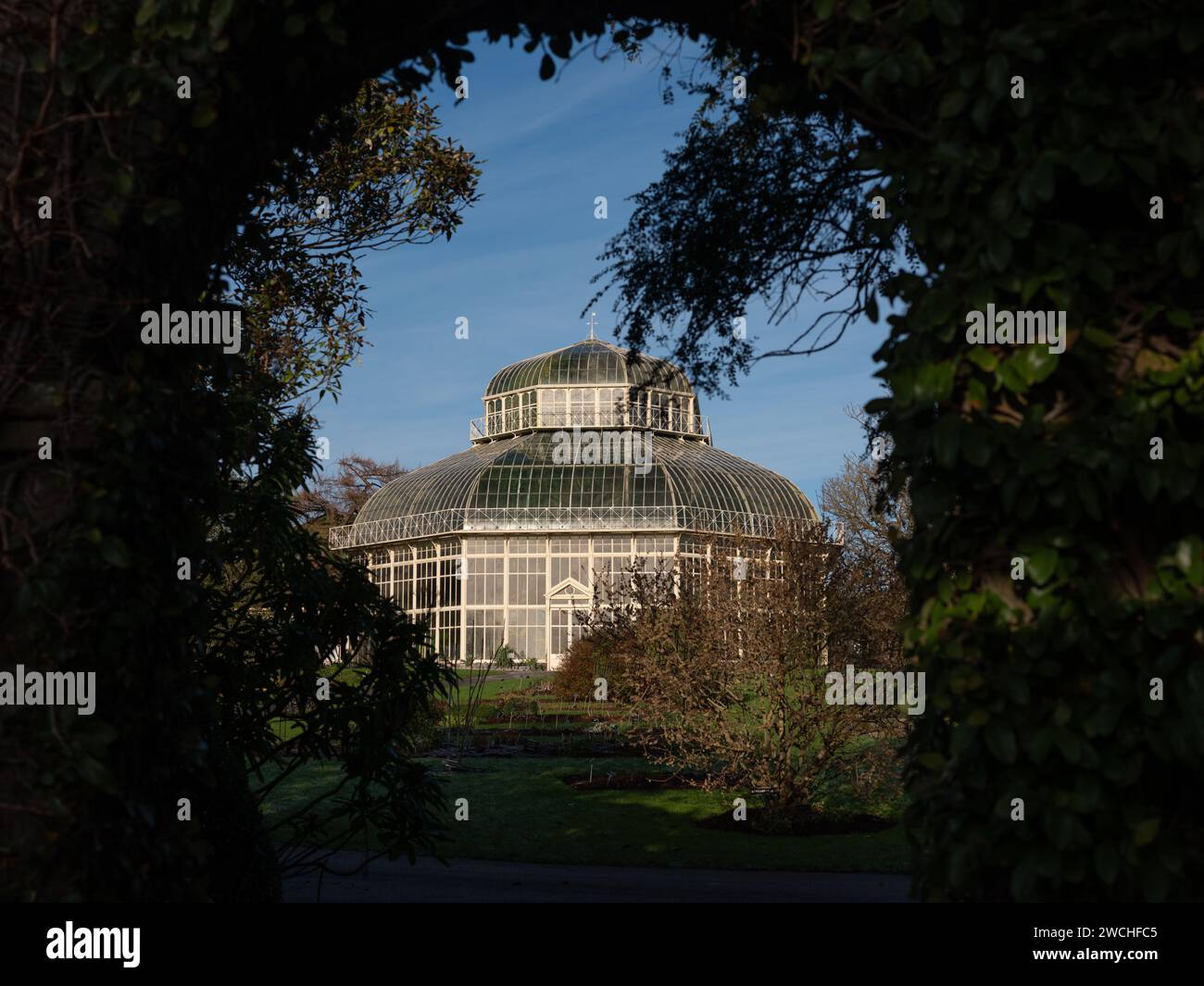 The Great Palm House aux Jardins botaniques nationaux d'Irlande, à Glasnevin, ville de Dublin. Banque D'Images