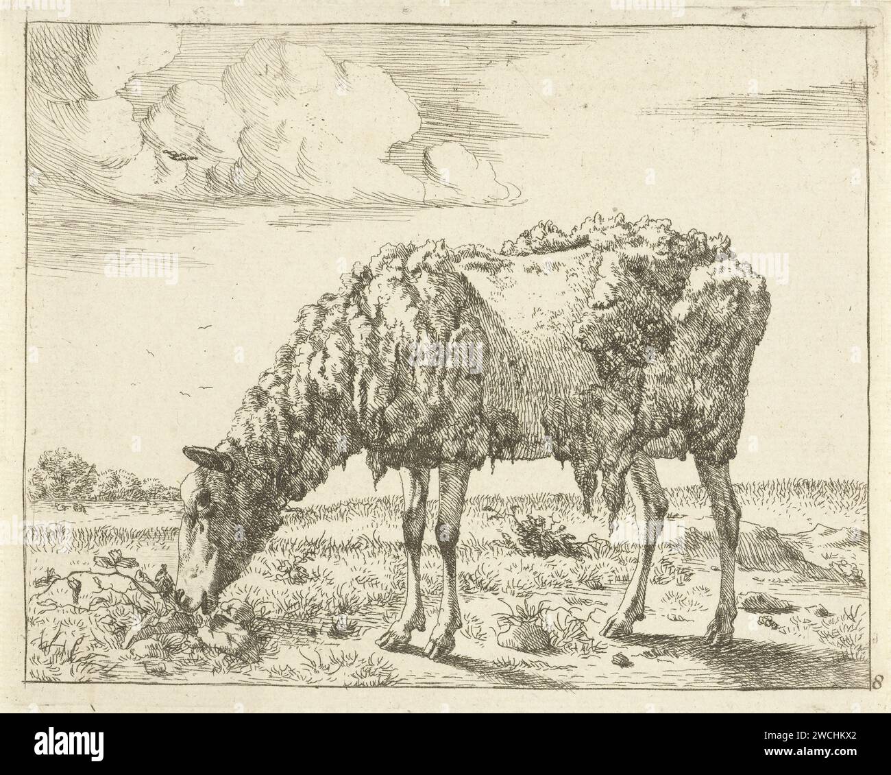 Schaap, Marcus de Bye, d'après Paulus Potter, 1728 - 1761 imprimer le papier de la Haye gravure des moutons Banque D'Images