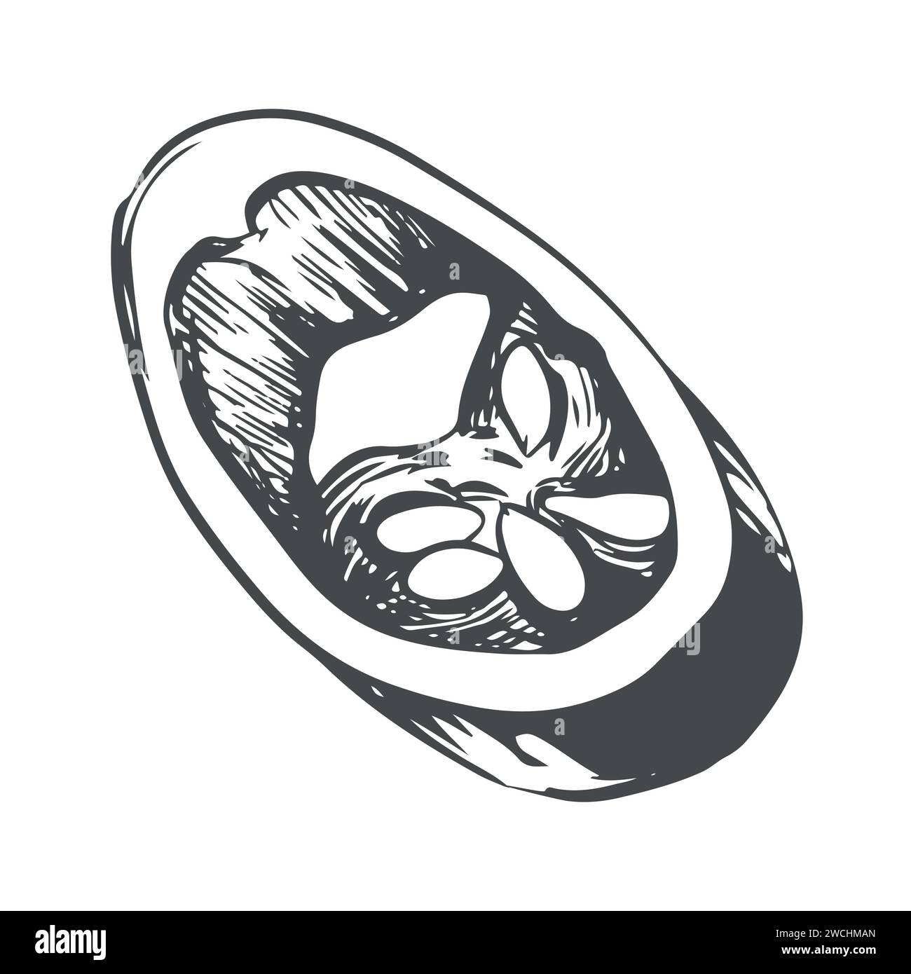 Un morceau de piment. Illustration vectorielle de poivre de Cayenne. Un morceau de piment jalapeno chaud avec des graines dans le style gravé. Illustration de Vecteur