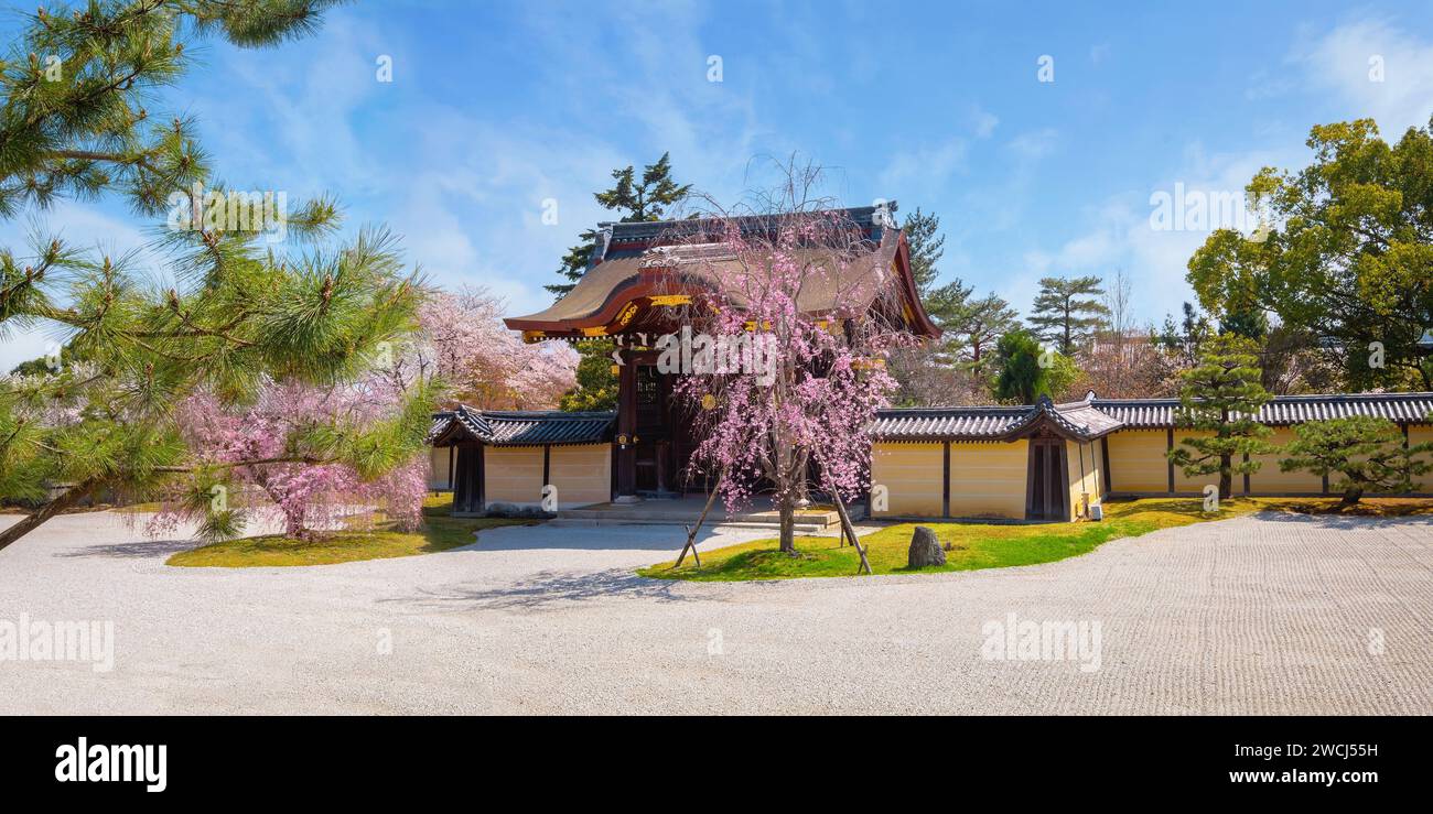 Kyoto, Japon - Mars 29 2023 : Temple Daikakuji avec beau jardin de fleurs de cerisier en pleine floraison au printemps Banque D'Images