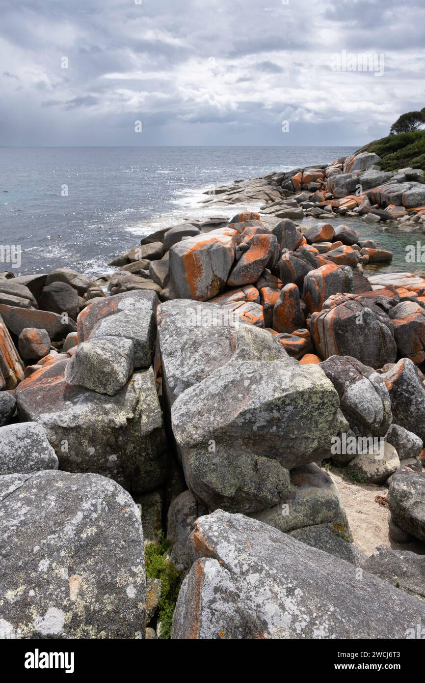 Roches granitiques orangées dans la Bay of Fires sur la côte nord-est de la Tasmanie, Australie Banque D'Images
