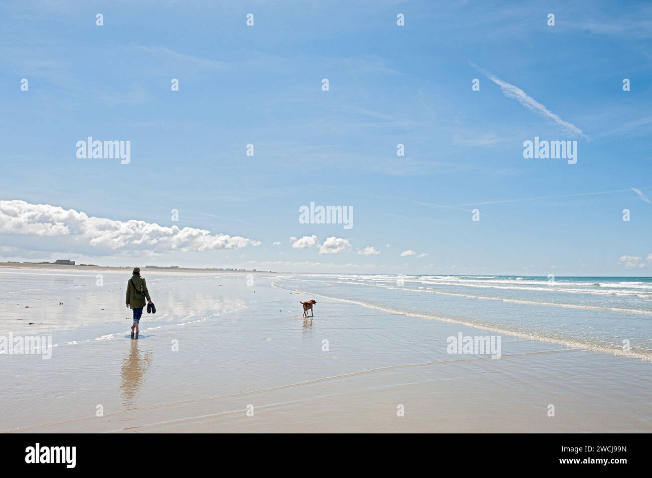 Promenade de plage avec chien près de Plouhinec, Finistère, Bretagne, France Banque D'Images
