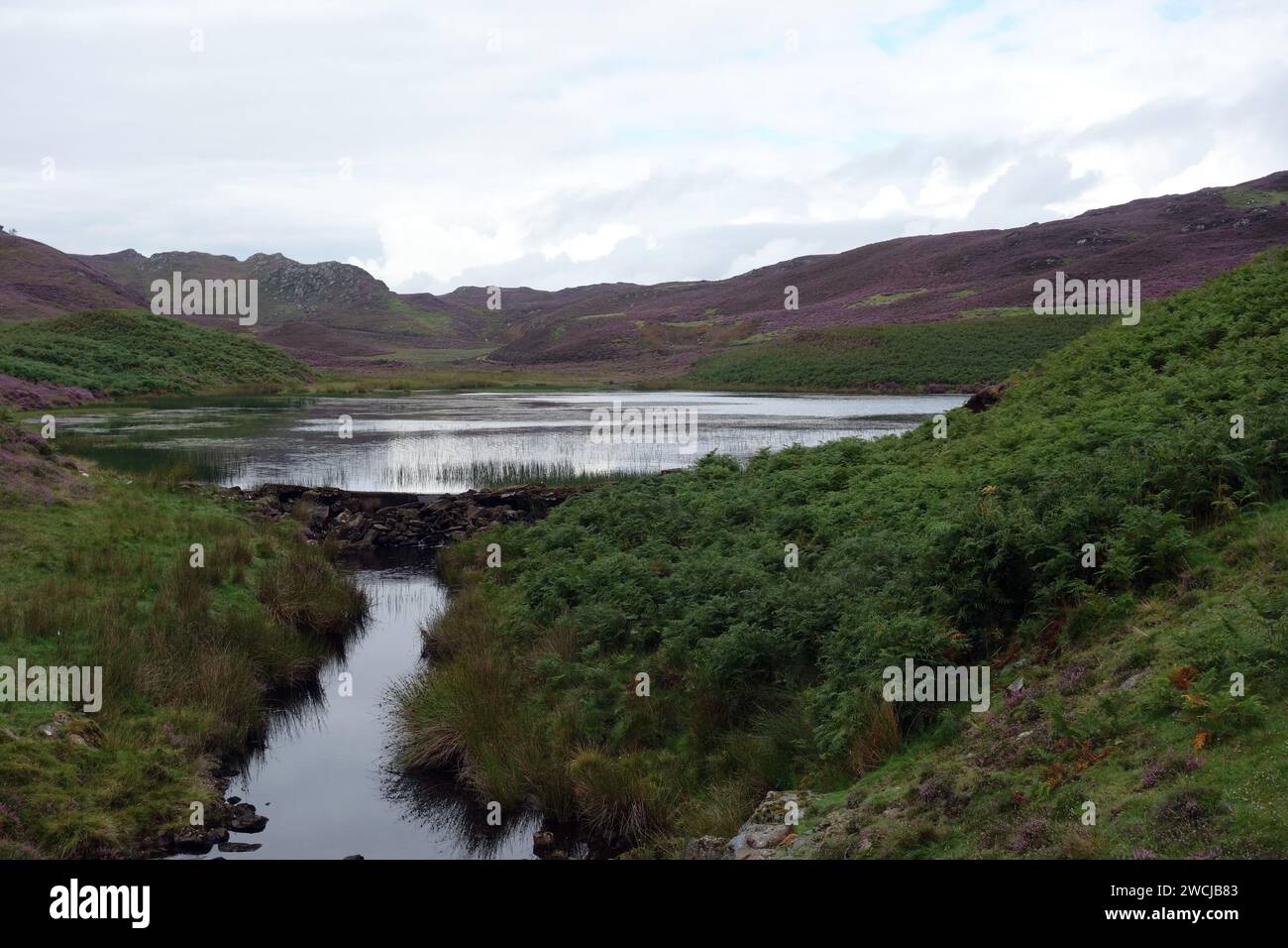 Petit Lochan sur l'Allt an Readhean près de la piste à l'Hydro / Wind Farm à la Corbett 'Carn a' Chuilinn' à Glen Doe, Highlands écossais, Royaume-Uni. Banque D'Images