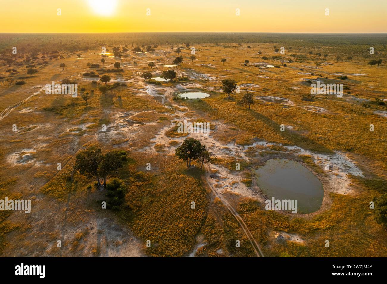 Vue aérienne de Ngweshla pan, parc national de Hwange, Zimbabwe. Banque D'Images