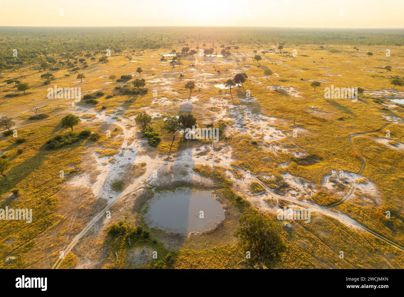 Vue aérienne de Ngweshla pan, parc national de Hwange, Zimbabwe. Banque D'Images