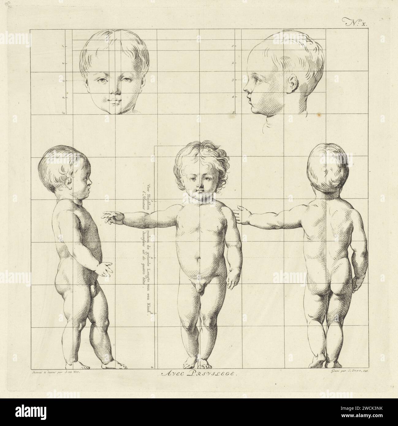 Etude proportionnelle du corps d'un enfant, Jan Punt, d'après Jacob de Wit, impression 1747 ci-dessus : une vue de face et de côté de la tête. Ci-dessous : une vue latérale, avant et arrière du corps, avec un bras tendu. Amsterdam gravure papier / gravure figure debout (canon, proportions). enfant. tête (humaine) Banque D'Images