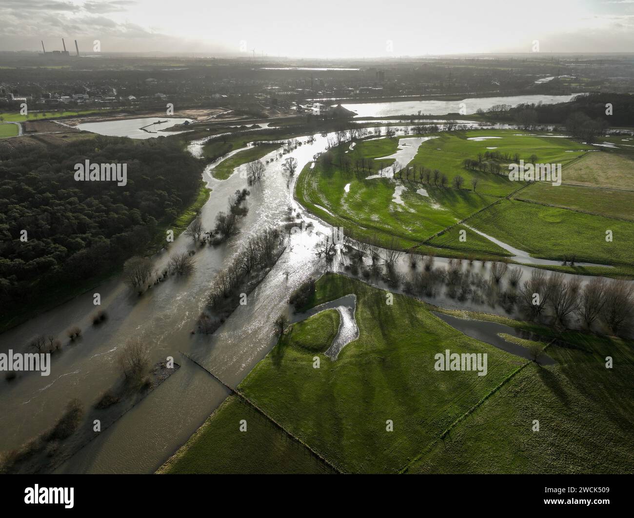 Wesel, Rhénanie du Nord-Westphalie, Allemagne - inondation à la Lippe, Lippemuendungsraum avant la Lippemuendung dans le Rhin. Banque D'Images