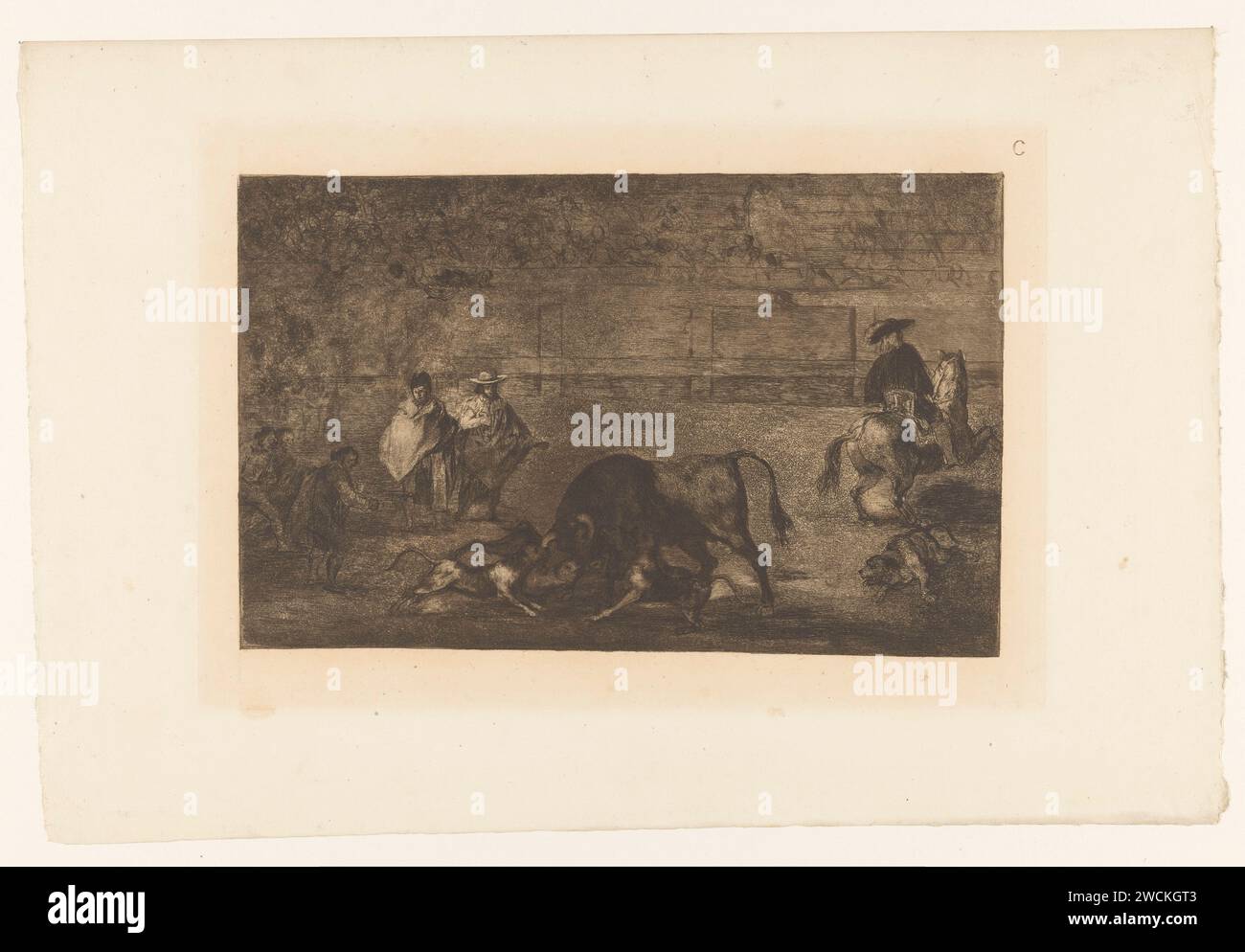 Taureau attaqué par des chiens, Francisco de Goya, 1876 imprimer cinq chiens attaquent un taureau dans une arène. Un chien est blessé par terre. A droite un homme à cheval, vu au dos. En haut à droite : C. imprimeur : Spainpublisher : corrida de gravure sur papier Paris Banque D'Images