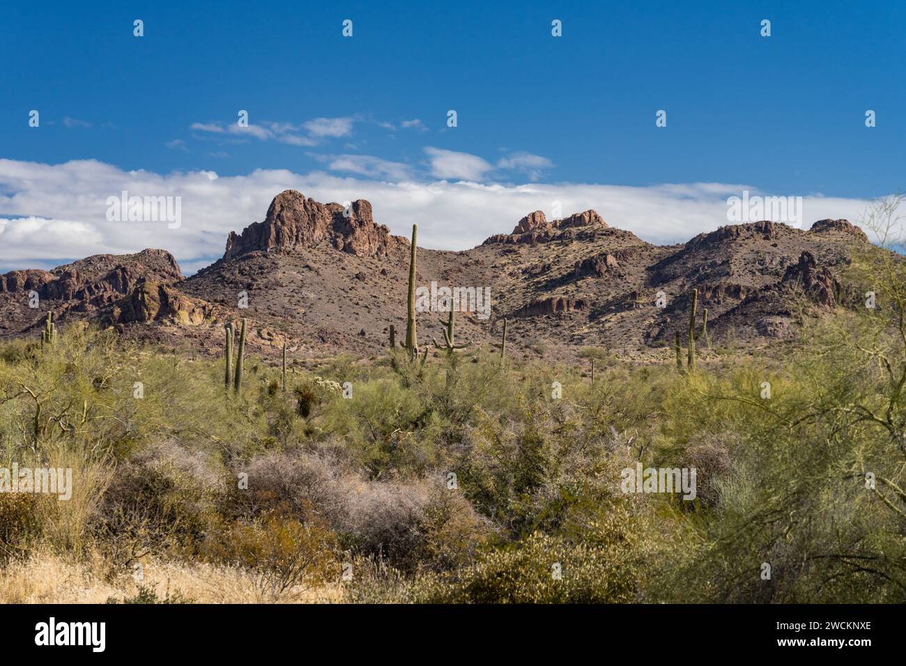 La chaîne de montagnes Superstition, vue depuis le Lost Dutchman State Park, Apache Junction, Arizona. Banque D'Images