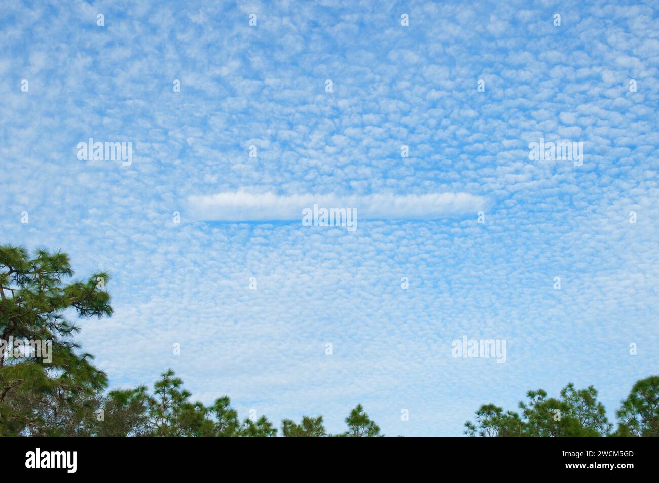 nuages de ciel de maquereau composés de rangées de nuages cirrocumulus ou d'altocumulus présentant un motif ondulé et ondulé semblable en apparence à un sca de poisson Banque D'Images