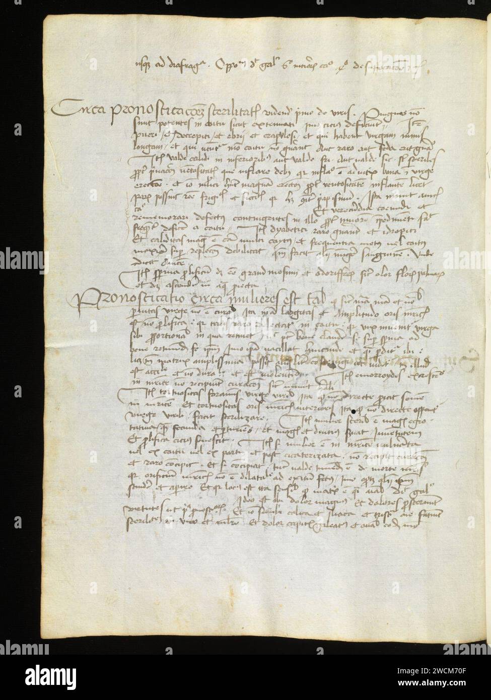 Aarau, Aargauer Kantonsbibliothek, MsMurF 85, F. 2 0004v – Antonius Guainerius, Tractatus medicinales. Banque D'Images