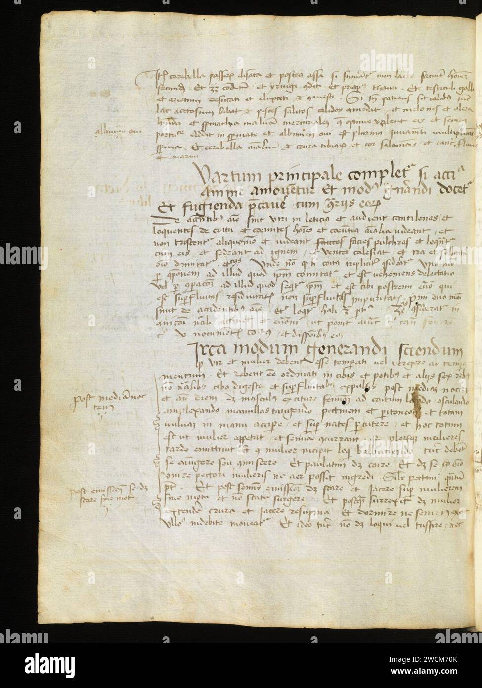 Aarau, Aargauer Kantonsbibliothek, MsMurF 85, F. 2 0021v – Antonius Guainerius, Tractatus medicinales. Banque D'Images