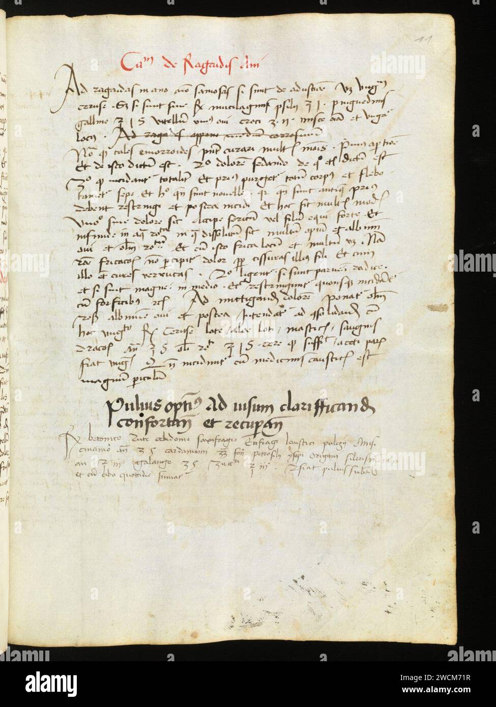 Aarau, Aargauer Kantonsbibliothek, MsMurF 85, F. 2 0011r – Antonius Guainerius, Tractatus medicinales. Banque D'Images