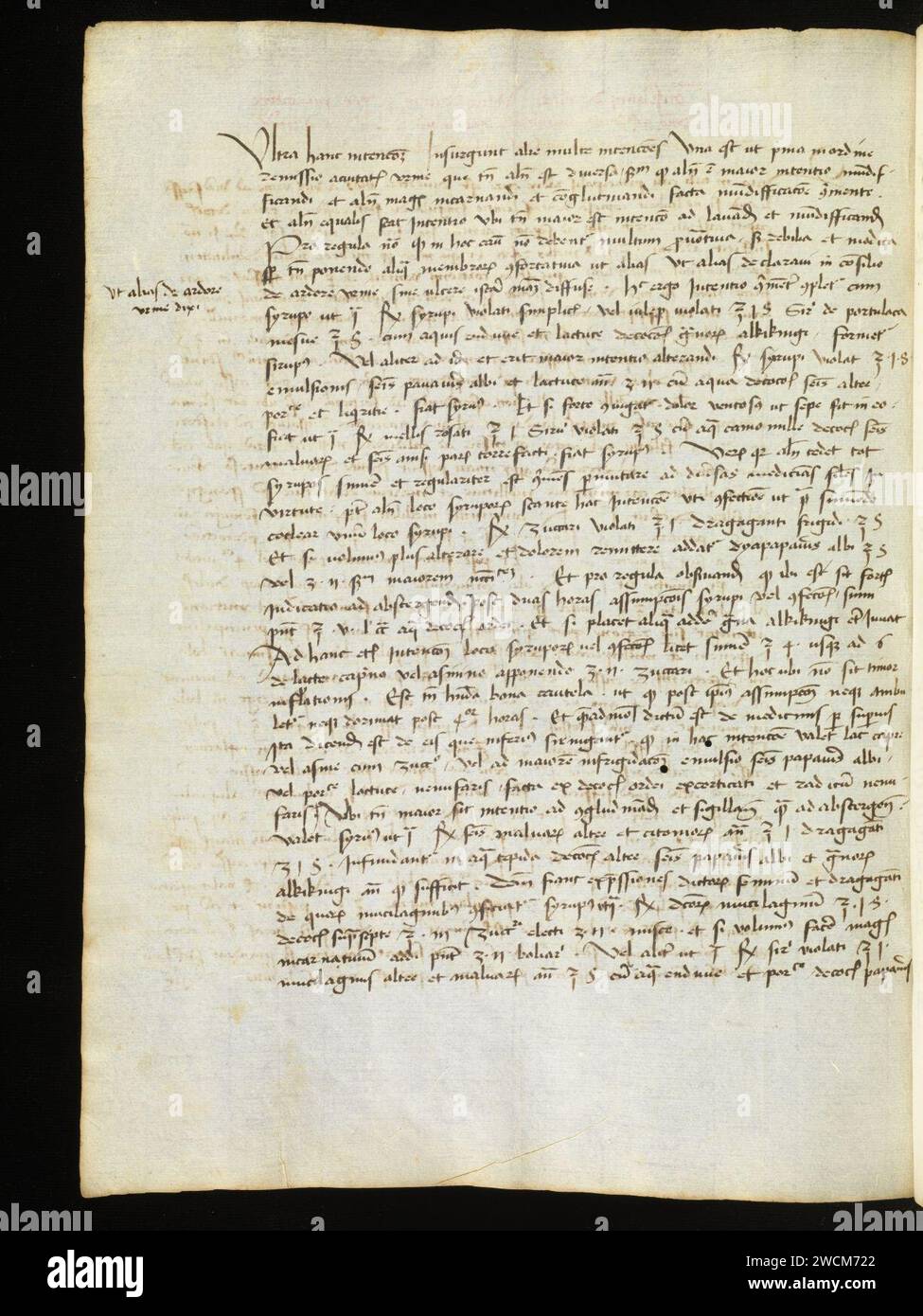 Aarau, Aargauer Kantonsbibliothek, MsMurF 85, F. 2 0014v – Antonius Guainerius, Tractatus medicinales. Banque D'Images