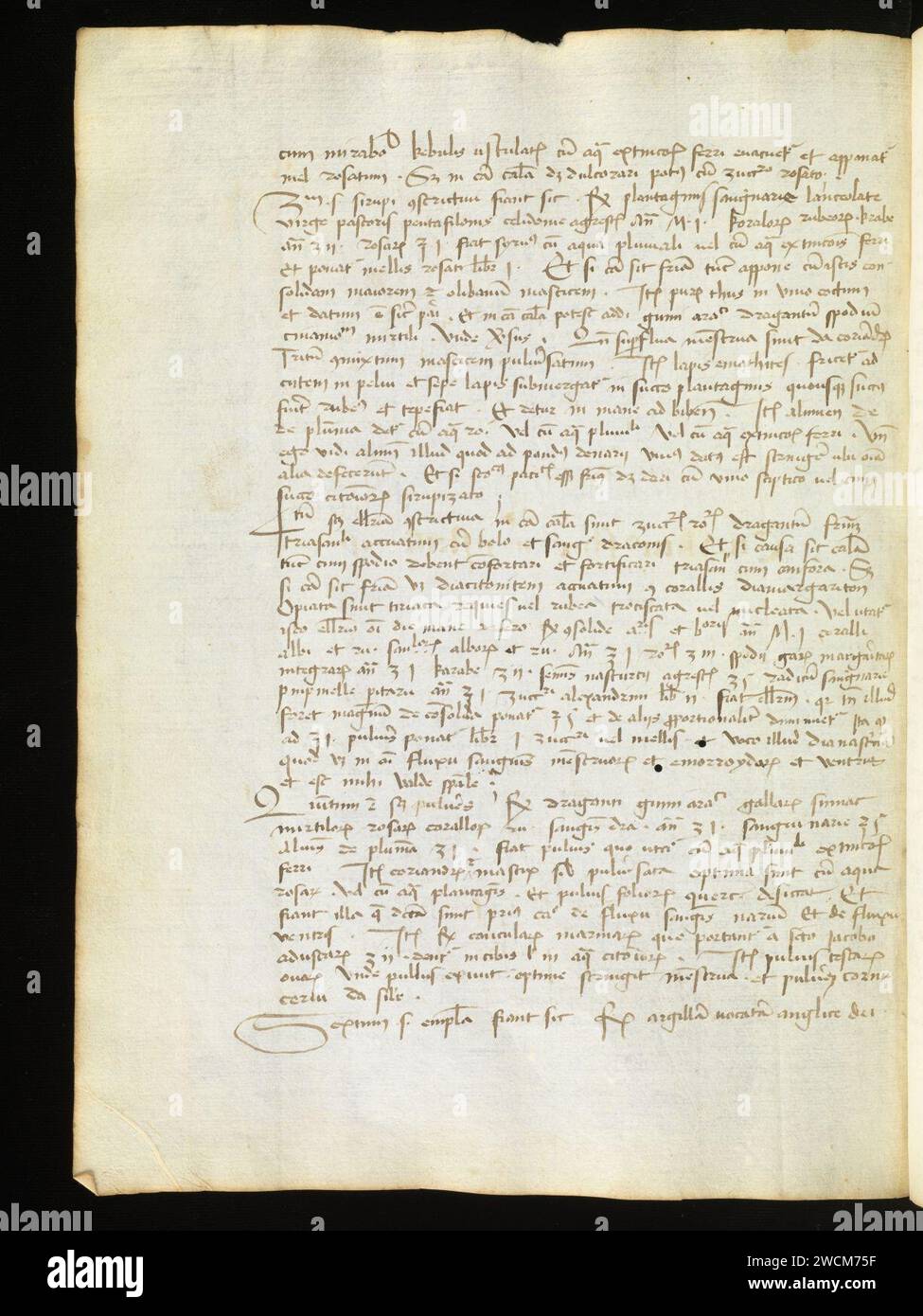 Aarau, Aargauer Kantonsbibliothek, MsMurF 85, F. 2 0029v – Antonius Guainerius, Tractatus medicinales. Banque D'Images
