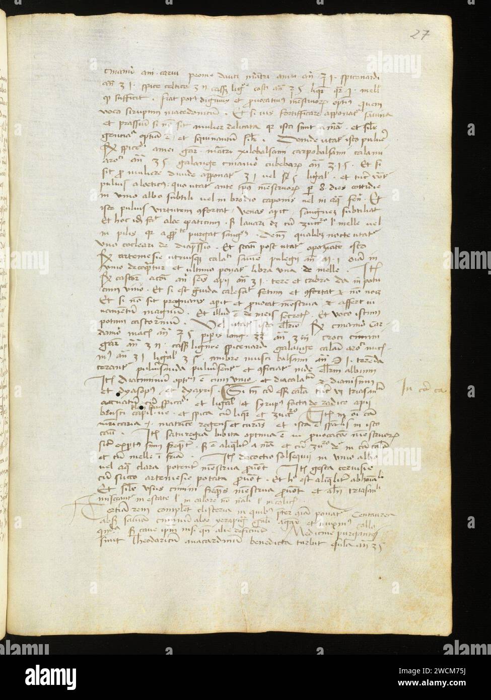 Aarau, Aargauer Kantonsbibliothek, MsMurF 85, F. 2 0027r – Antonius Guainerius, Tractatus medicinales. Banque D'Images