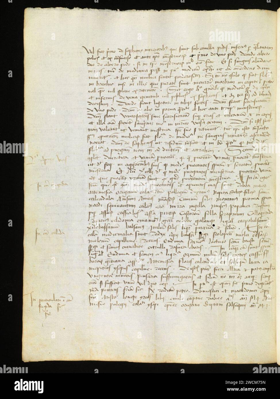 Aarau, Aargauer Kantonsbibliothek, MsMurF 85, F. 2 0026v – Antonius Guainerius, Tractatus medicinales. Banque D'Images