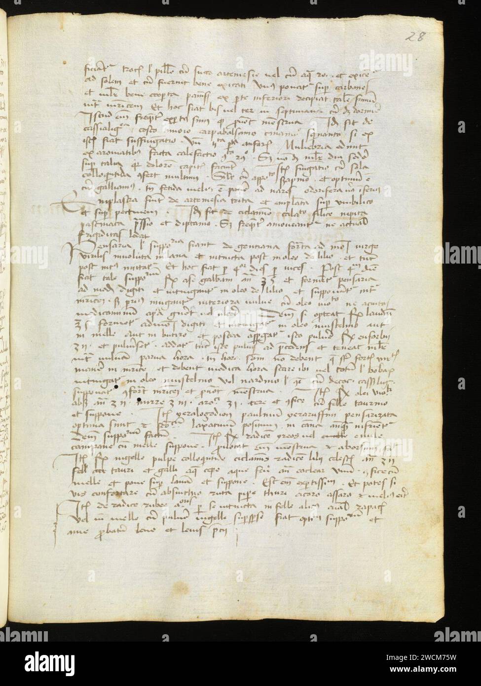 Aarau, Aargauer Kantonsbibliothek, MsMurF 85, F. 2 0028r – Antonius Guainerius, Tractatus medicinales. Banque D'Images