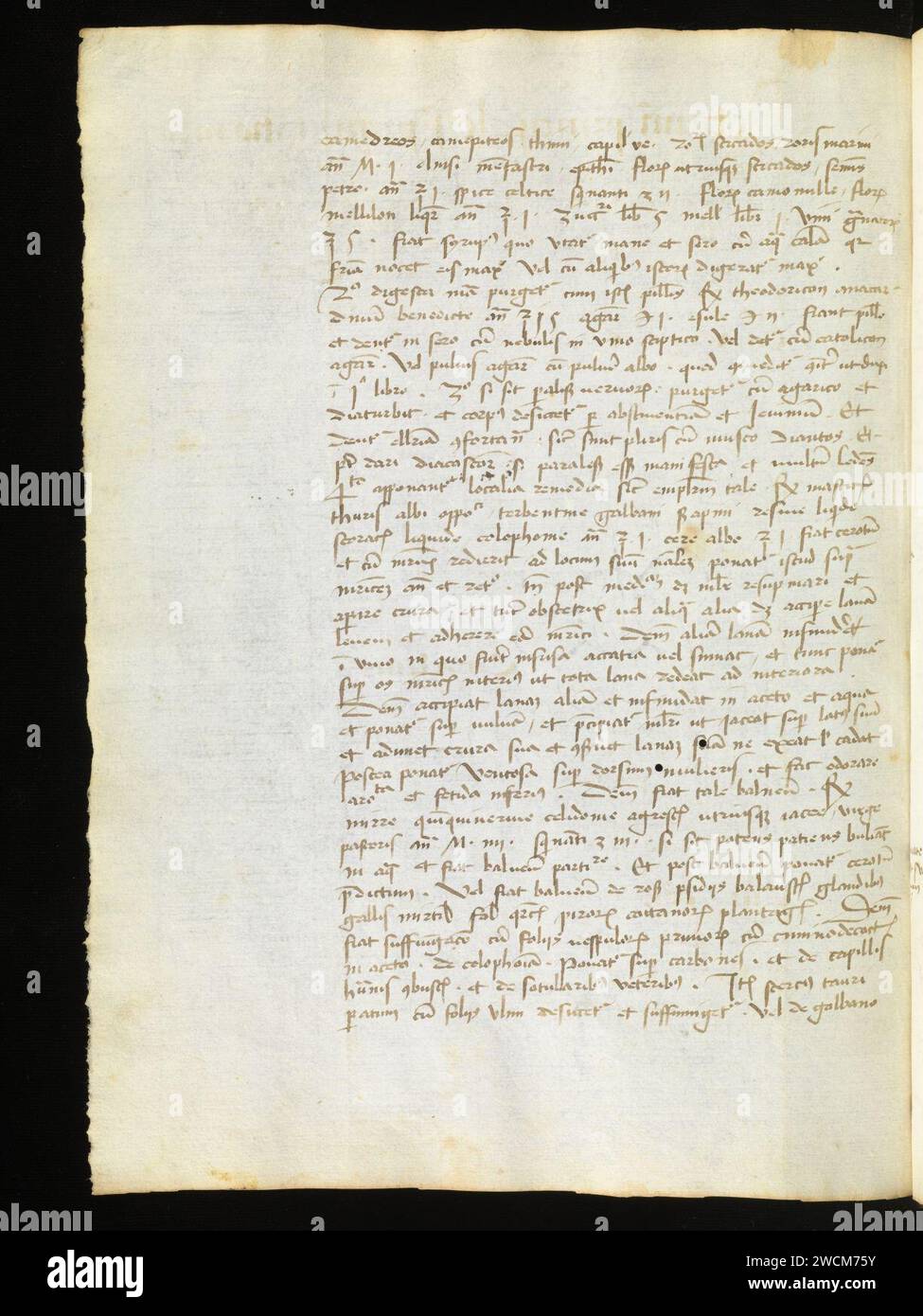 Aarau, Aargauer Kantonsbibliothek, MsMurF 85, F. 2 0031v – Antonius Guainerius, Tractatus medicinales. Banque D'Images