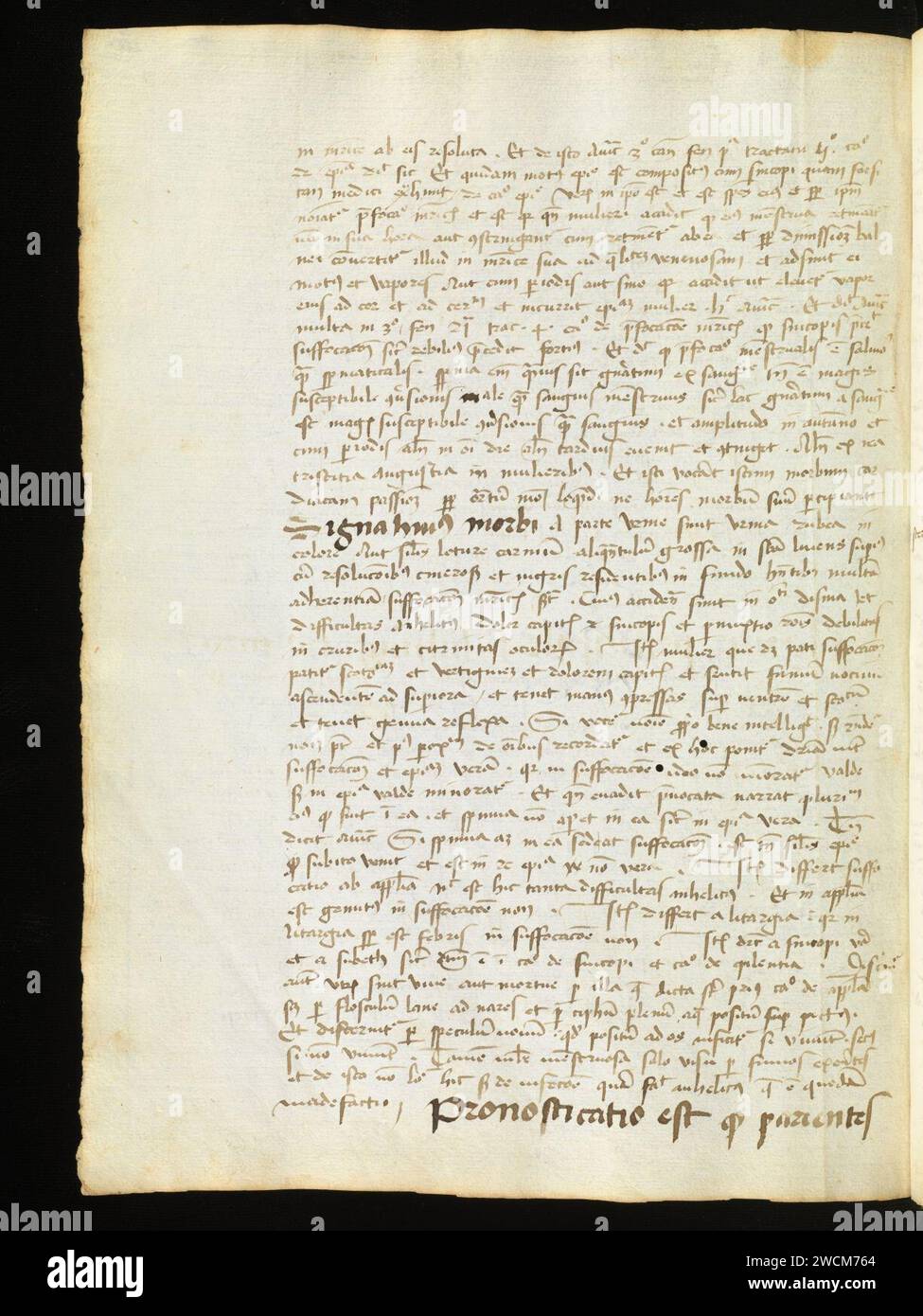 Aarau, Aargauer Kantonsbibliothek, MsMurF 85, F. 2 0032v – Antonius Guainerius, Tractatus medicinales. Banque D'Images