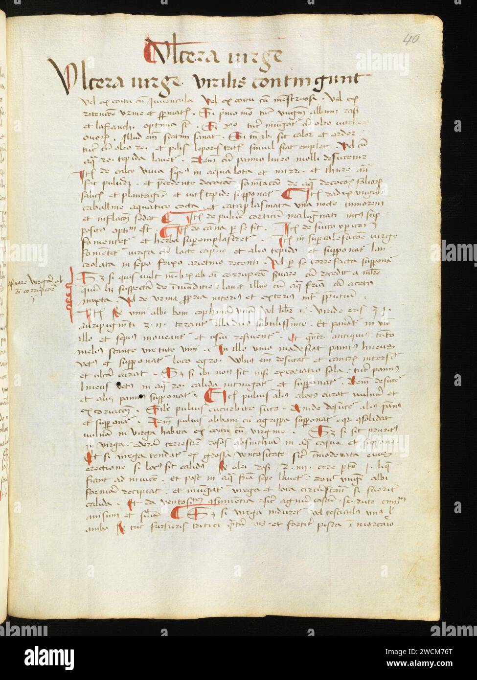 Aarau, Aargauer Kantonsbibliothek, MsMurF 85, F. 2 0040r – Antonius Guainerius, Tractatus medicinales. Banque D'Images
