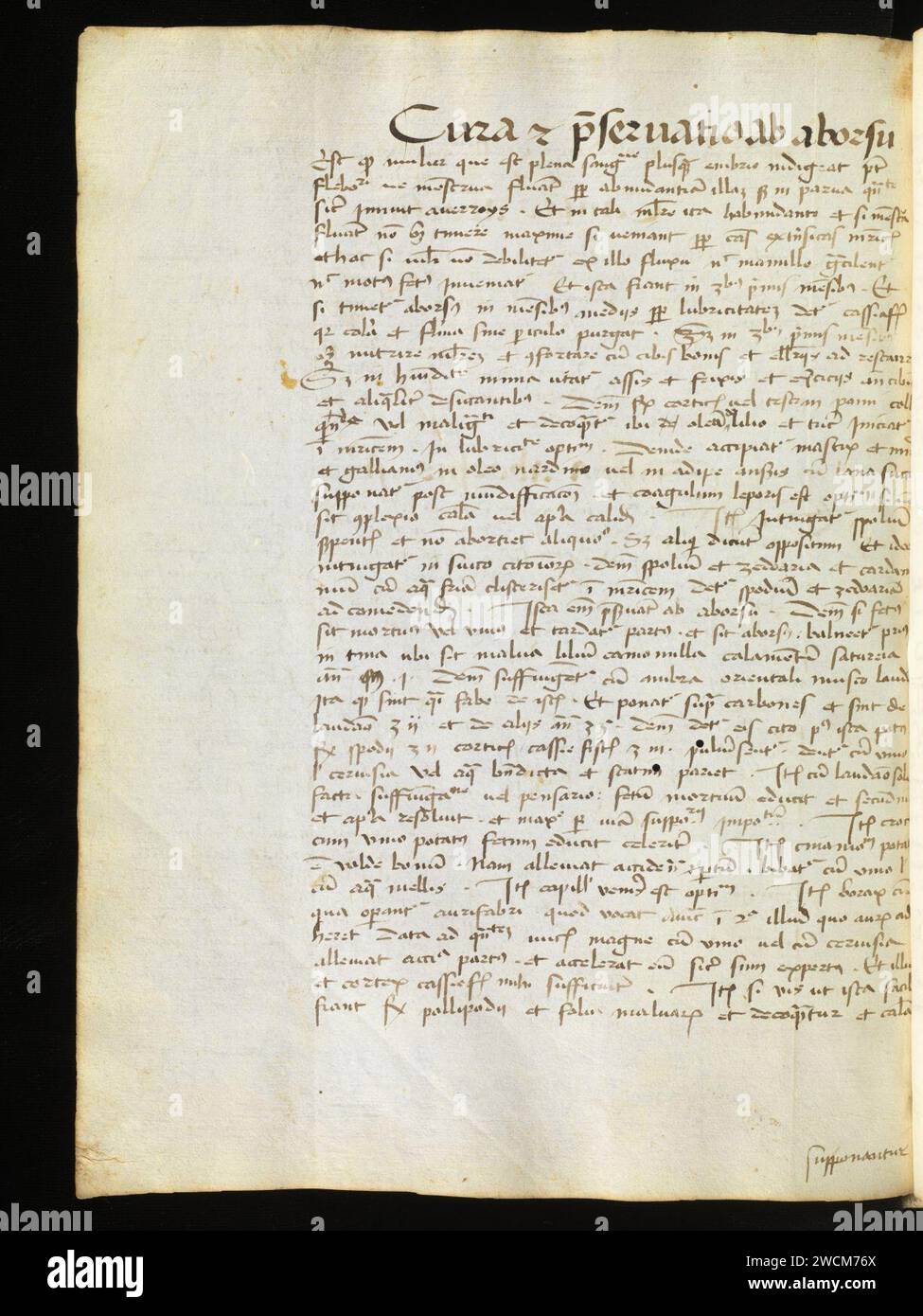 Aarau, Aargauer Kantonsbibliothek, MsMurF 85, F. 2 0036v – Antonius Guainerius, Tractatus medicinales. Banque D'Images