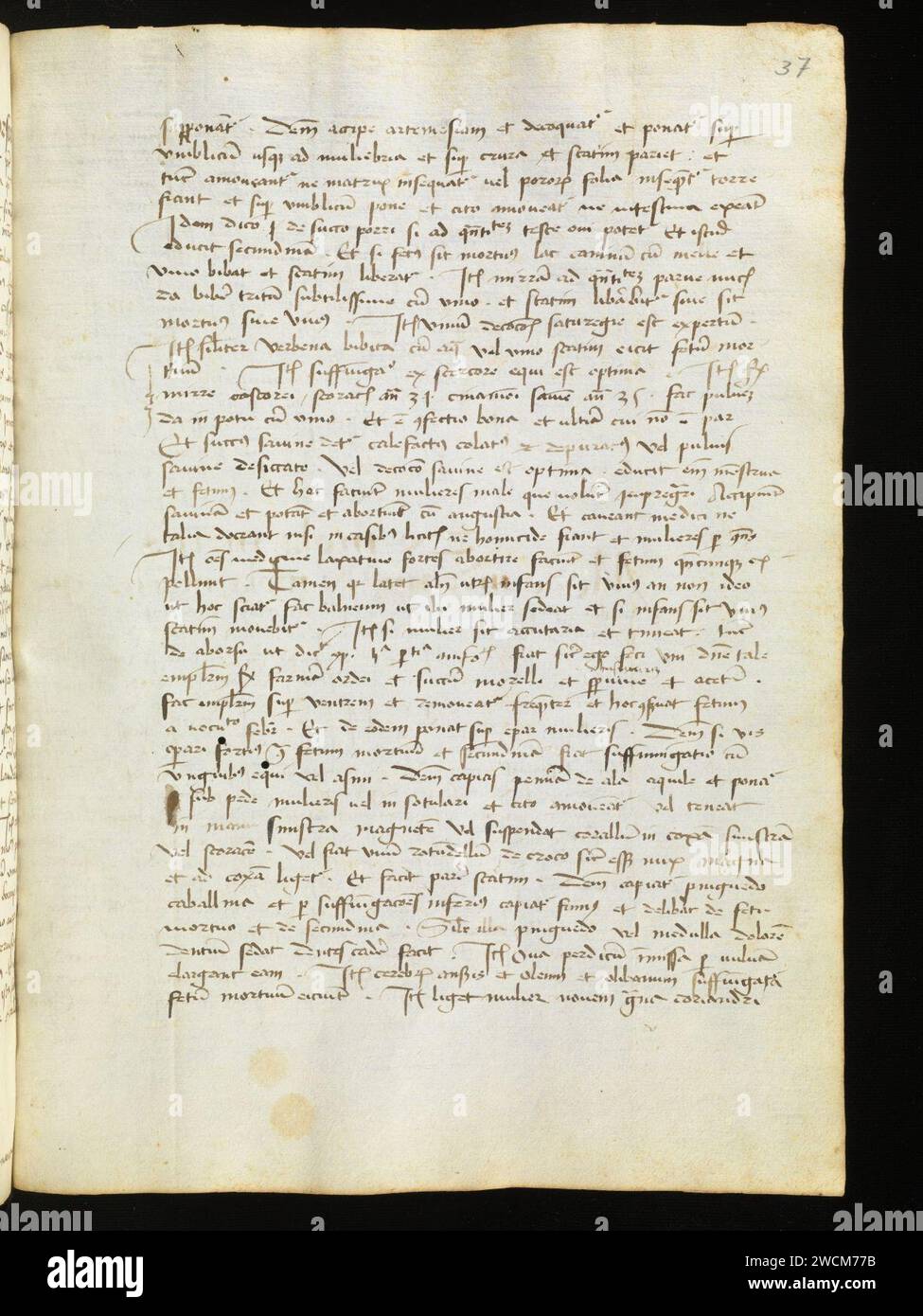 Aarau, Aargauer Kantonsbibliothek, MsMurF 85, F. 2 0037r – Antonius Guainerius, Tractatus medicinales. Banque D'Images
