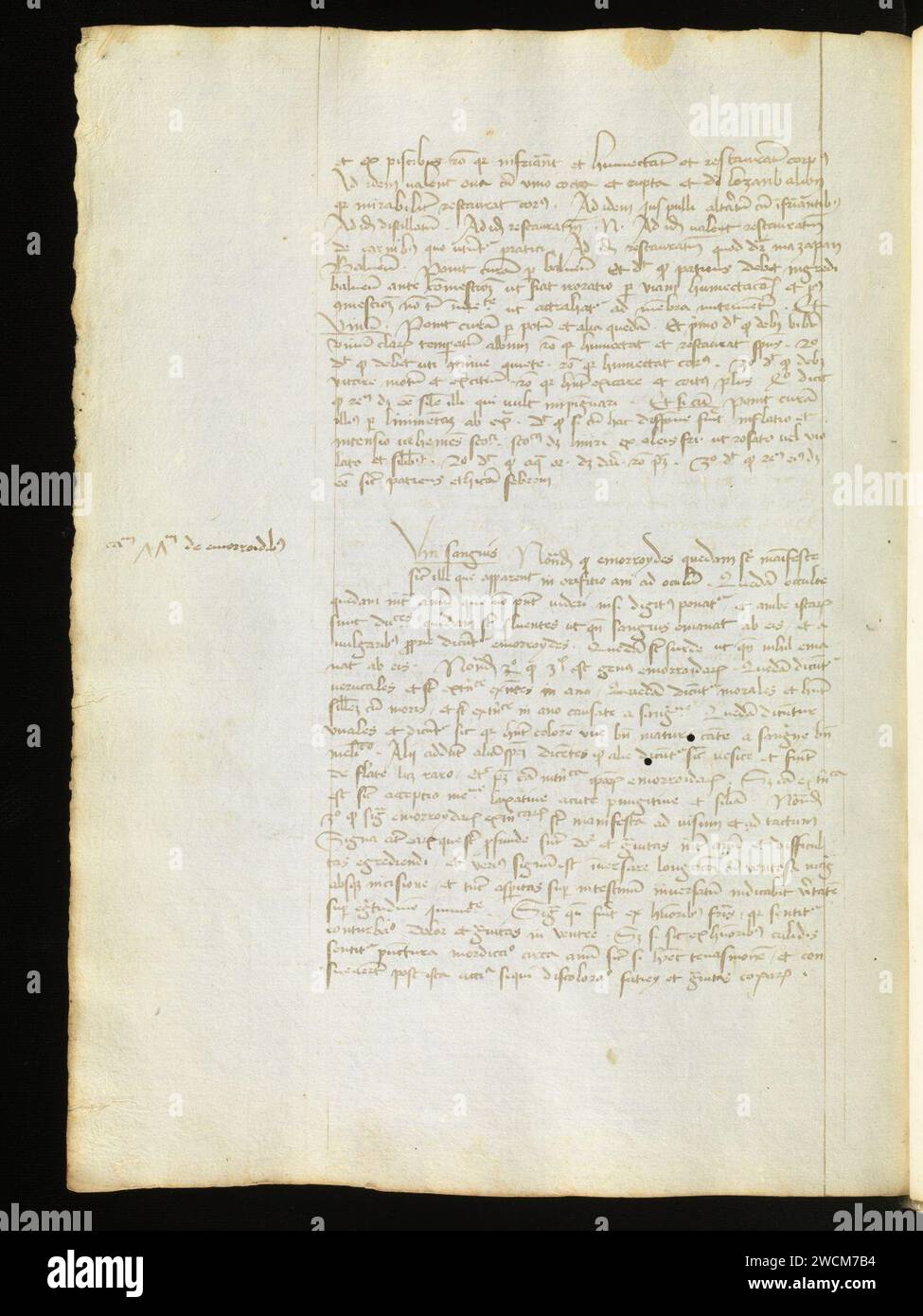 Aarau, Aargauer Kantonsbibliothek, MsMurF 85, F. 2 0050v – Antonius Guainerius, Tractatus medicinales. Banque D'Images