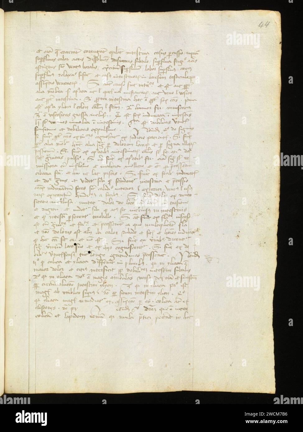 Aarau, Aargauer Kantonsbibliothek, MsMurF 85, F. 2 0044r – Antonius Guainerius, Tractatus medicinales. Banque D'Images