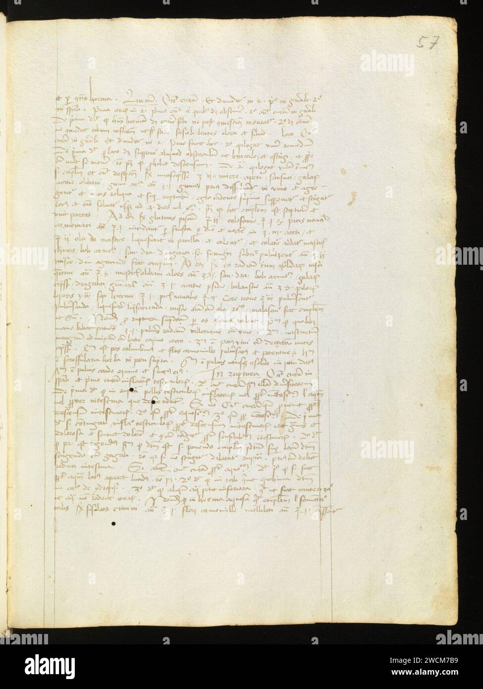 Aarau, Aargauer Kantonsbibliothek, MsMurF 85, F. 2 0057r – Antonius Guainerius, Tractatus medicinales. Banque D'Images