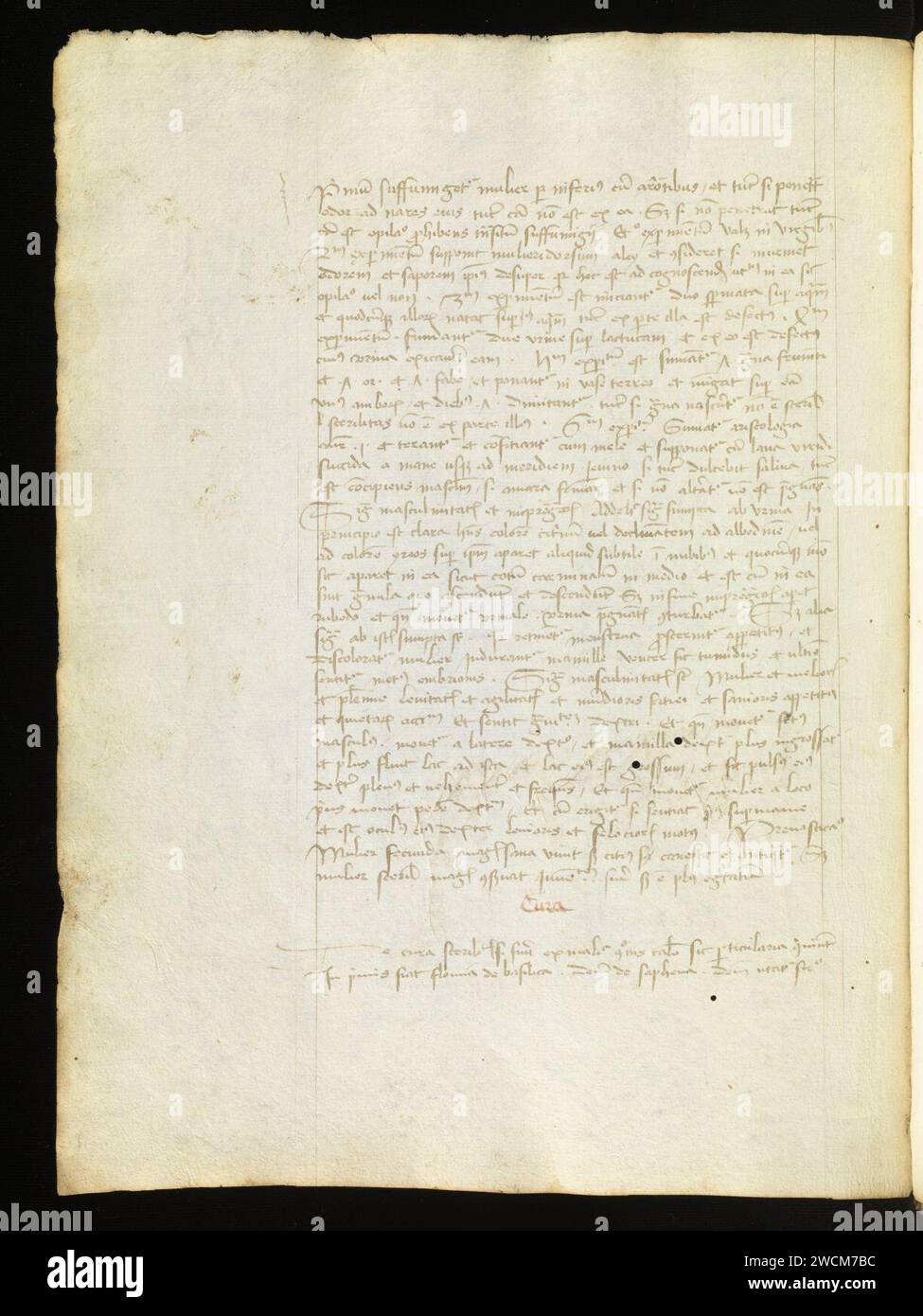Aarau, Aargauer Kantonsbibliothek, MsMurF 85, F. 2 0054v – Antonius Guainerius, Tractatus medicinales. Banque D'Images