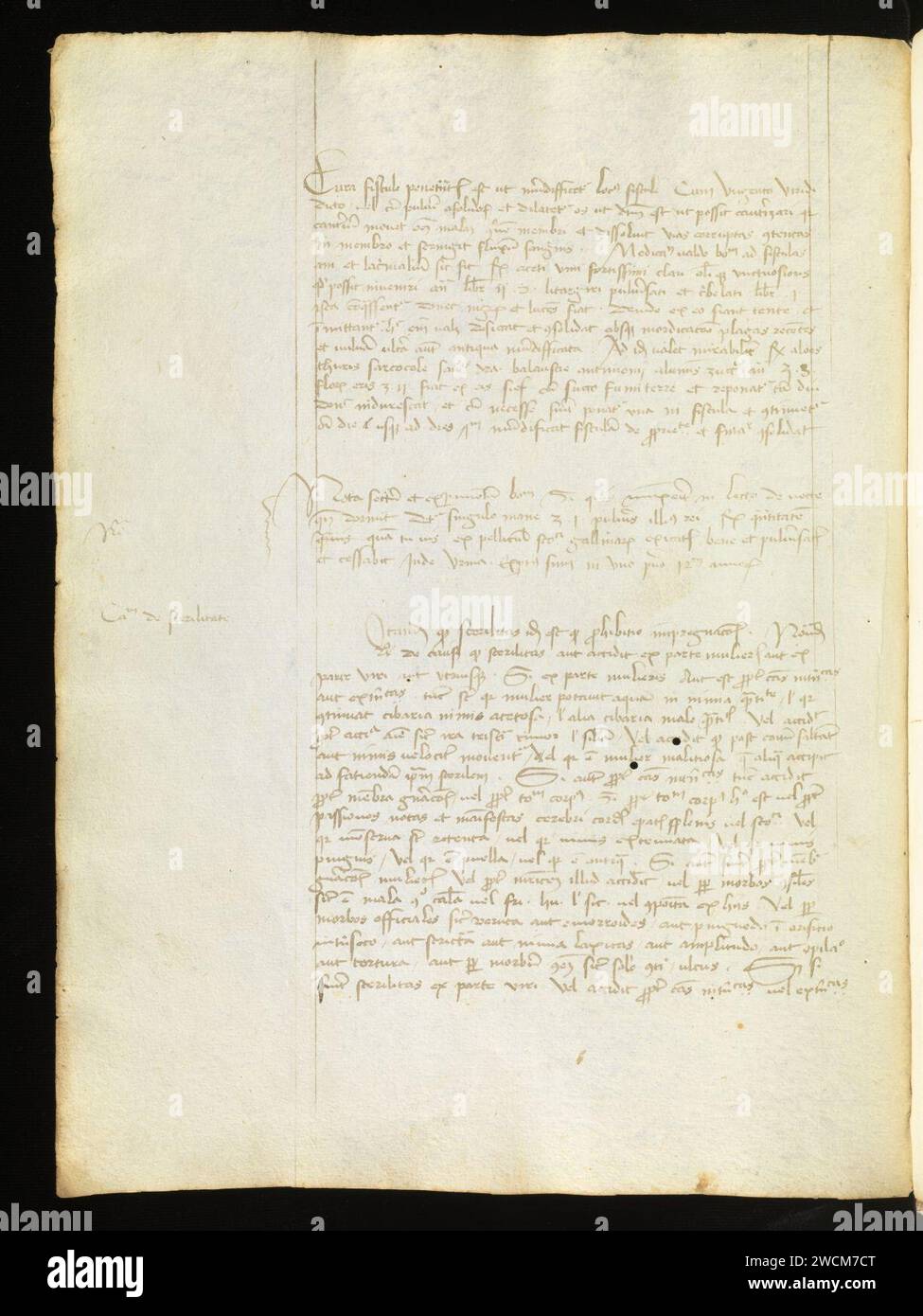 Aarau, Aargauer Kantonsbibliothek, MsMurF 85, F. 2 0053v – Antonius Guainerius, Tractatus medicinales. Banque D'Images