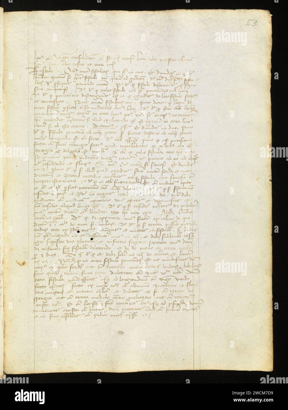 Aarau, Aargauer Kantonsbibliothek, MsMurF 85, F. 2 0053r – Antonius Guainerius, Tractatus medicinales. Banque D'Images