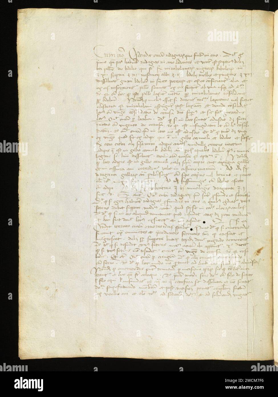 Aarau, Aargauer Kantonsbibliothek, MsMurF 85, F. 2 0052v – Antonius Guainerius, Tractatus medicinales. Banque D'Images