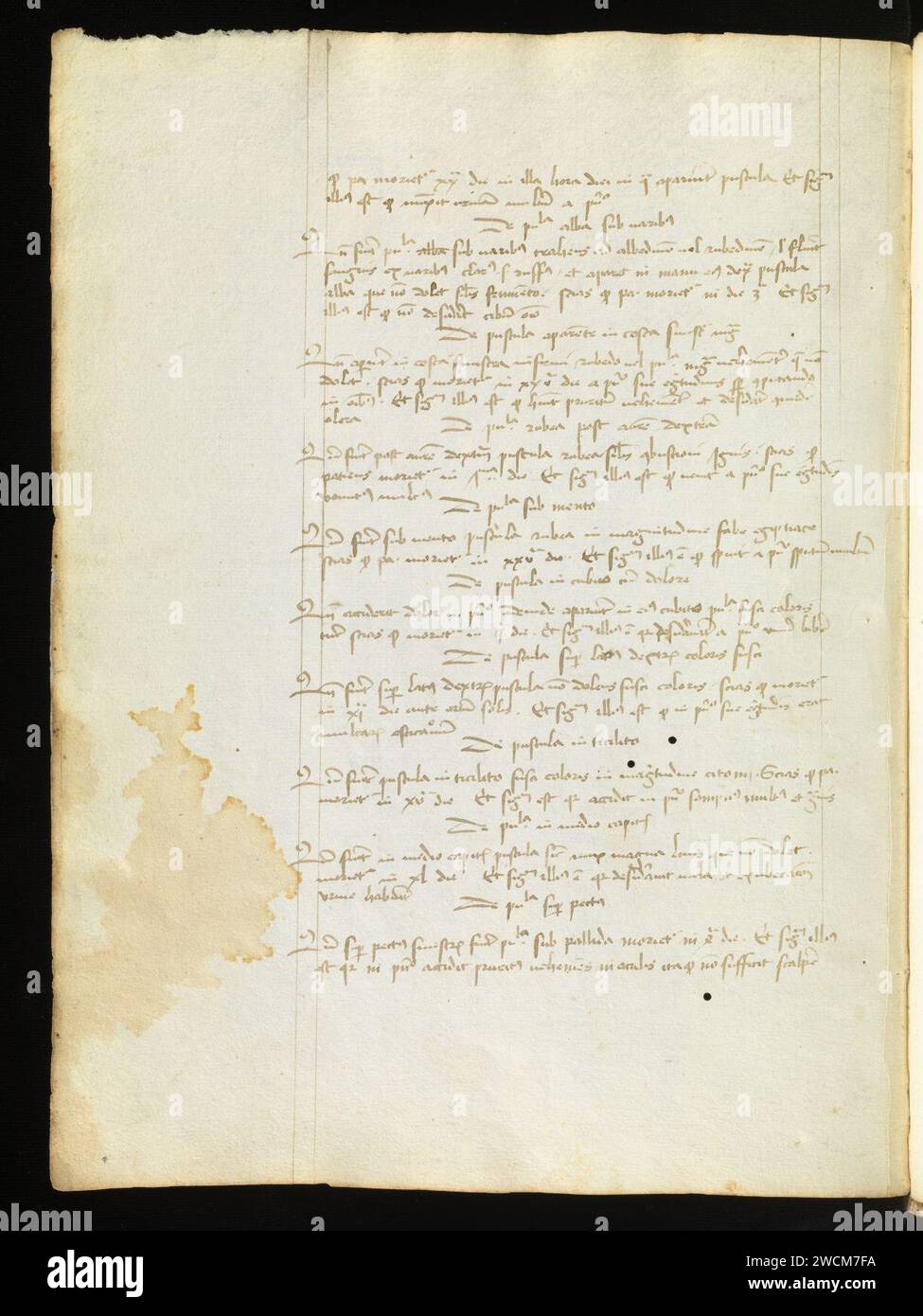 Aarau, Aargauer Kantonsbibliothek, MsMurF 85, F. 2 0058v – Antonius Guainerius, Tractatus medicinales. Banque D'Images