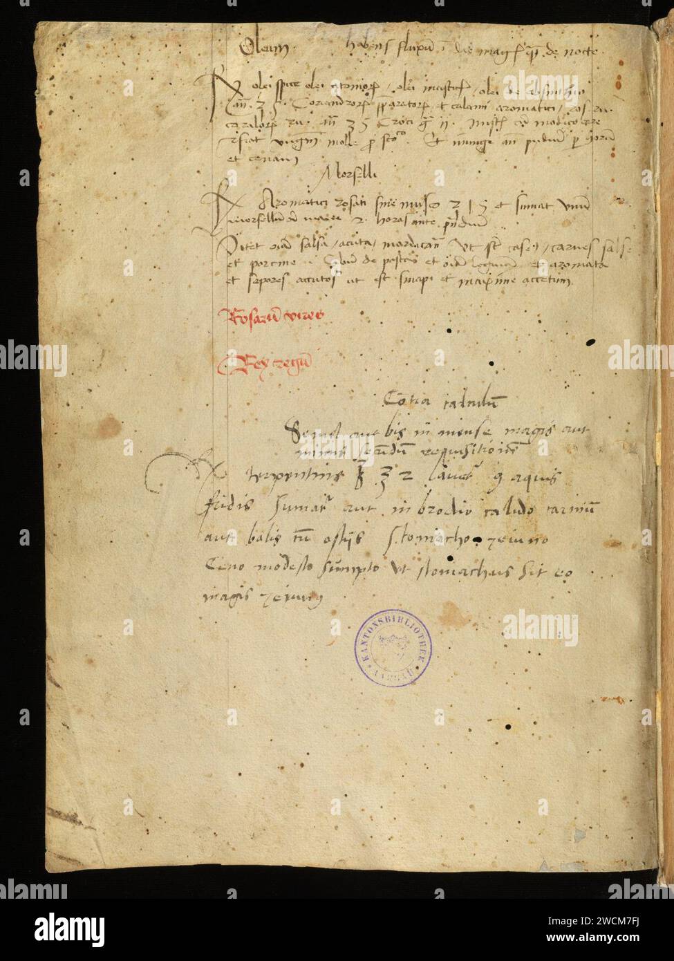 Aarau, Aargauer Kantonsbibliothek, MsMurF 85, F. 2 0063v – Antonius Guainerius, Tractatus medicinales. Banque D'Images