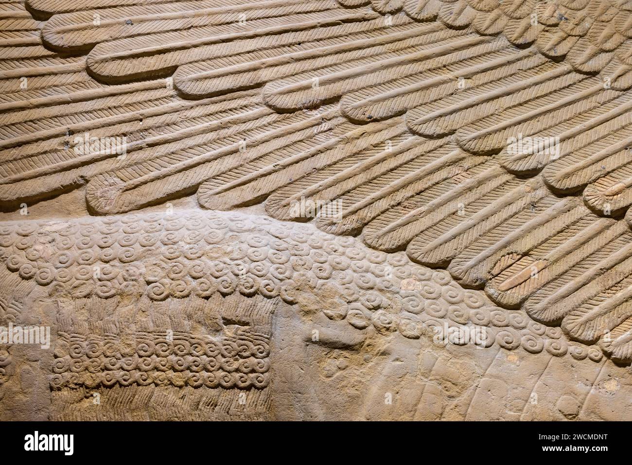 Détail de l'aile, lamassu assyrien (taureau ailé à tête humaine), palais de dur-Sharrukin, Khorsabad, Irak, maintenant dans le musée de l'Irak, Bagdad, Irak Banque D'Images